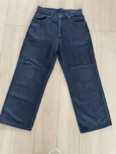 JEANASIS、デニム　ジンズ31(L相当)