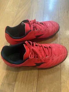 MIZUNO MONARCIDA NEO 21.0cm レッド
