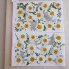 shiho様 リクエスト 2点 まとめ商品