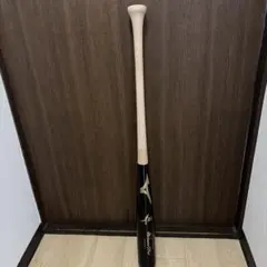 Item thumbnail for item 95b3868c-0cce-4393-9e90-78a7a9d51b2c