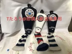 Item thumbnail for item 437cd681-42db-4e9d-98a3-8082c385181a