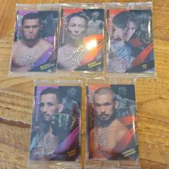 RIZIN カード　ウエハース　シェイドゥラエフ　篠塚　伊藤　クレベル　ライジン