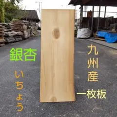 Item thumbnail for item ab18711e-abc9-4766-9293-0e5d96d03d0e