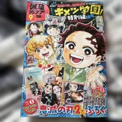 初版・帯付き】鬼滅の刃 しあわせの花 小説 ノベライズ 吾峠呼世晴