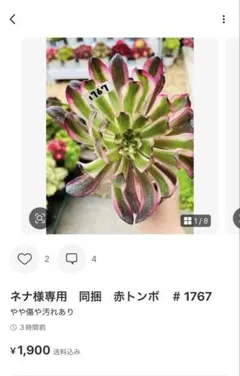 ネナ様　専用ページ　三点纏めページ