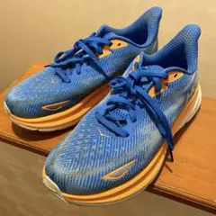 Item thumbnail for item d4d39119-8268-40e5-bb9a-cb30dd34cf55