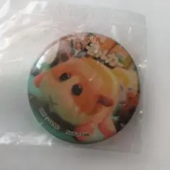 モルカー　マグネット