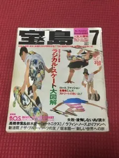 宝島 1987 No.163「特集 ラジカル・スケート大図鑑 」古本