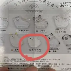 Item thumbnail for item 6f35bca2-7e16-4431-8684-1988ebd0bd0b