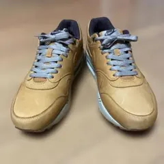 ナイキ エアマックス1