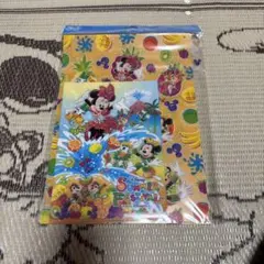 ディズニー サマーフェスティバル クリアファイル 2枚セット
