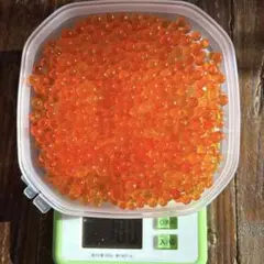 食品サンプル見本　イクラ100g