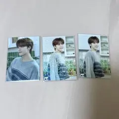SEVENTEEN セブチ SEVENTEEN's HOME トレカ ディノ