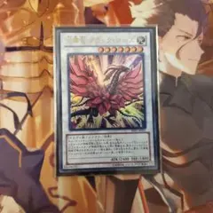 月華竜 ブラック・ローズ 遊戯王OCG