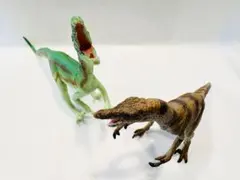 2026年最新】カーネギーサファリの人気アイテム - メルカリ