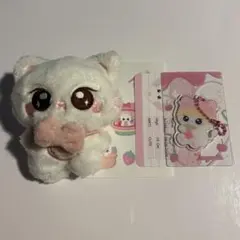 ENHYPEN ジョンウォン ぬいぐるみ マスター ドール エナプのサムネイル