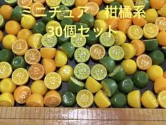 ミニチュア　柑橘系　ハーフ　カット　デコレーション　インテリア　デコレーション