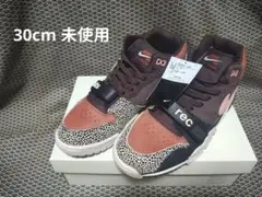 US12 NIKE SB x Arts Rec エアトレーナー1 未使用のサムネイル