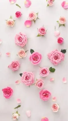【専用】