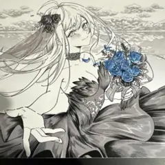 HM61Z HM Z Platform HE PCB Kit