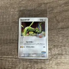 【希少　激レア】ポケモンずかんカード　ポケパーク　2005年　プロモ　フルコンプ ポケパーク2005配布プロモ 14種セット ［ポケモンカード］
