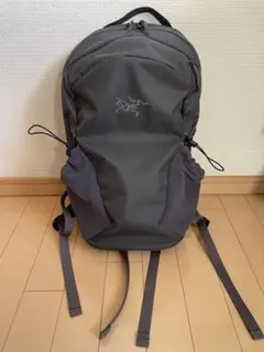 Item thumbnail for item 576877a3-0336-4347-82f5-5db9c3a4074f