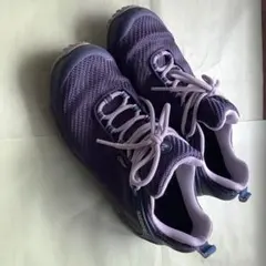 Item thumbnail for item dacce89e-f128-4022-9446-943a6bdb0794