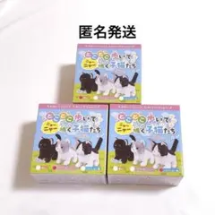 とことこ歩いてニャーニャー鳴く子猫たち　ハチワレ　黒ねこ　ねこ　ネコ　おもちゃ