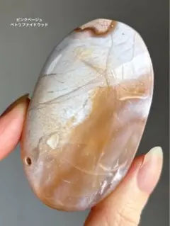 値下げ　レア高品質　ペトリファイドウッド　BIG スフィア　ブルーピンク　珪化木 ペトリファイドウッド 珪化木 パームストーン A | ホシノカケラ