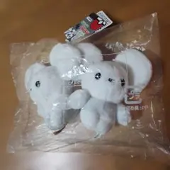 924 ワッカネズミ　キミにきめた！ポケモンゲットぬいぐるみのサムネイル