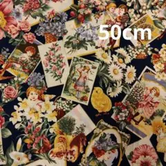 ☆ Sharon　Evans　Yenter 　Victorian　50cm