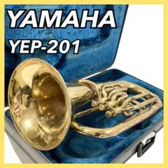2026年最新】YEP201の人気アイテム - メルカリ