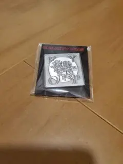 B'z LIVE-GYM 2025 FYOP チャリティピンズ 新品
