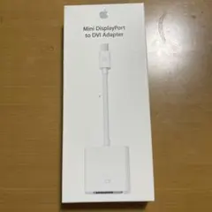 Apple Mini DisplayPort to DVI Adapter