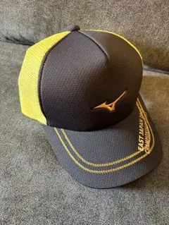 Item thumbnail for item 6565056d-eba6-42f6-89ee-088df6ca3afd