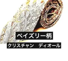 クリスチャン ディオール ペイズリー柄 シルク100% ネクタイ