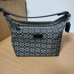 COACH ミニシグネチャー ハンドバッグ ミニアクセサリーポーチバニティY2K
