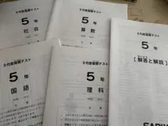 2026年最新】sapix 組分けテスト 新5年の人気アイテム - メルカリ