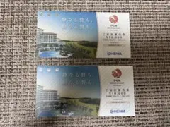 PGMホテルリゾート沖縄 ご宿泊優待券 10,000円分×2枚のサムネイル