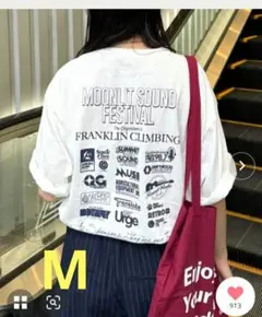 Franklin Climbing バックプリントフェスティバルTシャツ