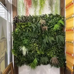 2026年最新】引き取り限定 植物の人気アイテム - メルカリ