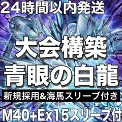 大会構築　原石青眼 デッキ　神を超えたしもべ　青眼の究極竜　海馬瀬人　青眼の白龍