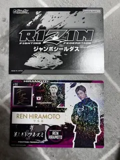 RIZIN REN HIRAMOTO #08