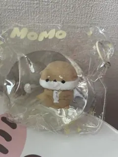 momo 海洋　カワウソ　スクイーズのサムネイル