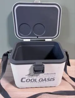 2026年最新】cool oasis クーラーボックスの人気アイテム - メルカリ
