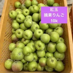 1 紅玉　摘果りんご　10kのサムネイル