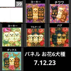 オーダーページ パネル お花6犬種 7.12.23