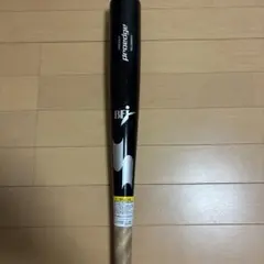 限界価格】元西武ライオンズ 鈴木健サイン入りバット NPBマーク - メルカリ