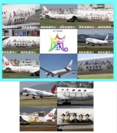 嵐★JAL FLY to 2020 嵐ジェット 選りすぐり12枚 L判一デジ