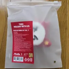 TWS ホリデー フェイスキーリング Bear くま クマ 緑 ぬいぐるみ